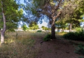 Urban land for sale on España, Torrent, ref: TR118125 photo