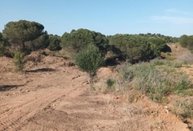 Ayamonte 708&nbsp;m²