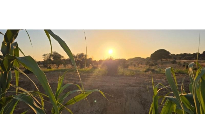 Huelva - Villablanca - 7520m2