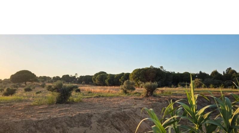 Huelva - Villablanca - 7520m2
