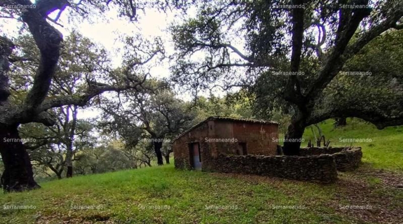 Huelva - Galaroza - 9270m2