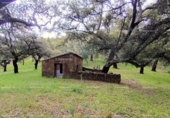 Terreno no urbanizable en venta en la España, Galaroza, ref: TR407080 foto