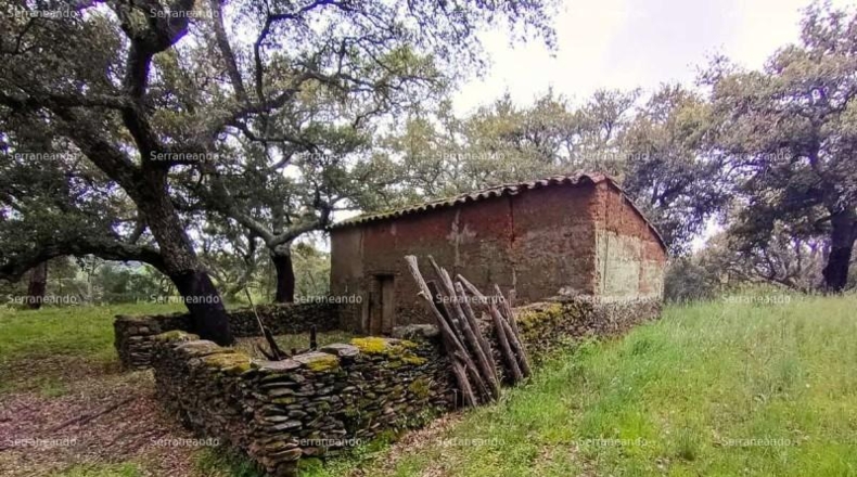 Huelva - Galaroza - 9270m2