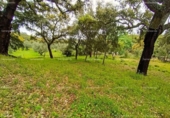 Terreno no urbanizable en venta en la España, Galaroza, ref: TR407080 foto