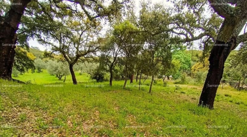 Huelva - Galaroza - 9270m2
