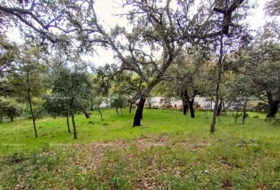 Galaroza 9270&nbsp;m²