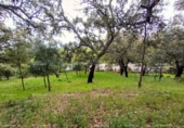 Terreno no urbanizable en venta en la España, Galaroza, ref: TR407080 foto