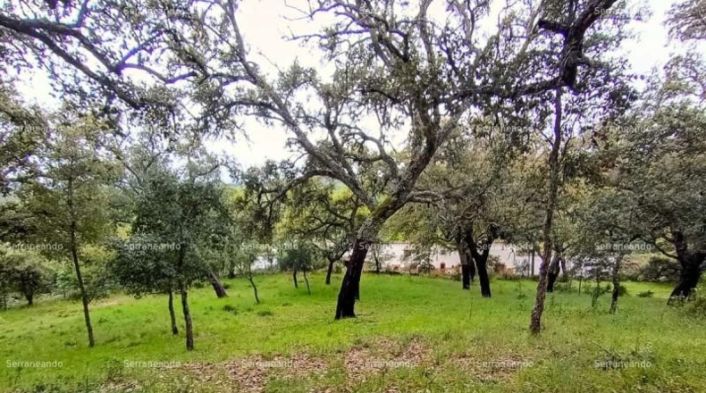 Huelva - Galaroza - 9270m2