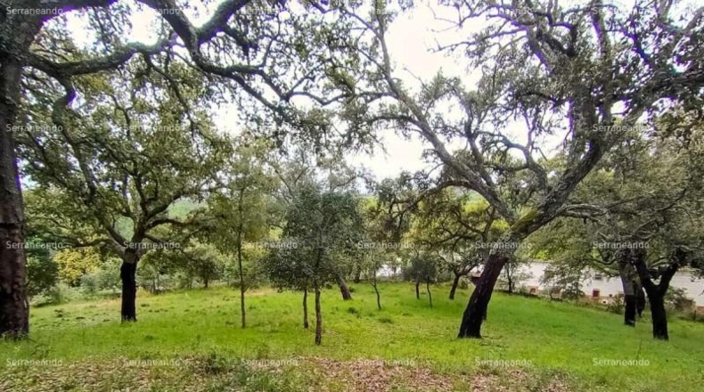 Huelva - Galaroza - 9270m2