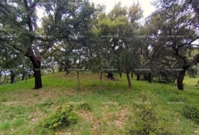 Galaroza 9270&nbsp;m²
