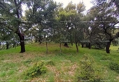 Terreno no urbanizable en venta en la España, Galaroza, ref: TR407080 foto