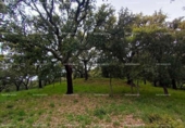 Terreno no urbanizable en venta en la España, Galaroza, ref: TR407080 foto