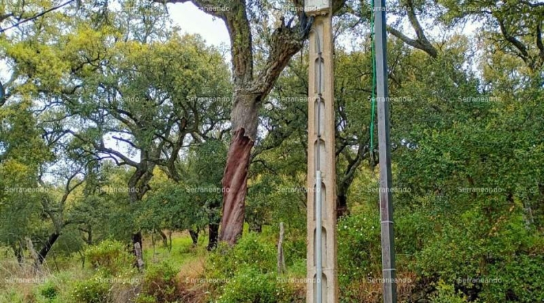 Huelva - Galaroza - 9270m2