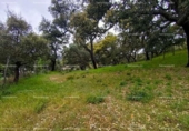 Terreno no urbanizable en venta en la España, Galaroza, ref: TR407080 foto