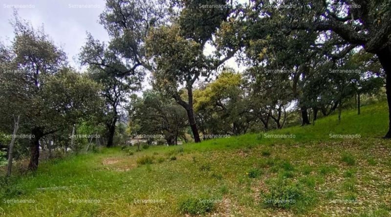 Huelva - Galaroza - 9270m2