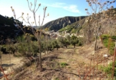 Terreno no urbanizable en venta en la España, Monachil, ref: TR396573 foto