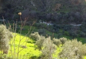 Terreno no urbanizable en venta en la España, Monachil, ref: TR396573 foto