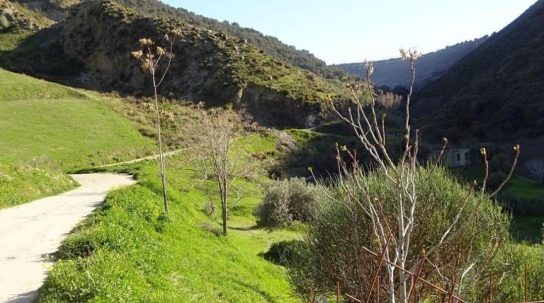 Granada - Monachil - 3514m2