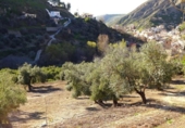 Terreno no urbanizable en venta en la España, Monachil, ref: TR396573 foto