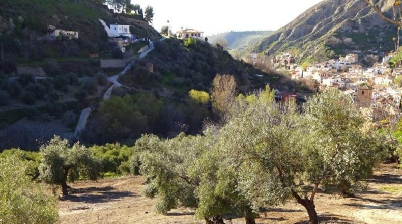 Granada - Monachil - 3514m2