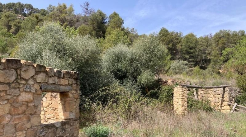 Teruel - Arens de Lledó - 35878m2