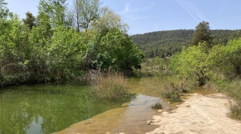 Teruel - Arens de Lledó - 35878m2