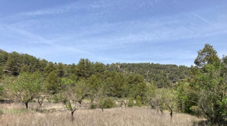 Teruel - Arens de Lledó - 35878m2