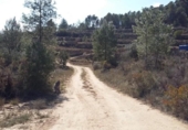 Xalet independent amb terreny en venda a la España, Arenys de Lledó, ref.: TR408169 foto