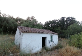 Foto 18