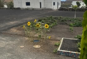 Tinajo 1000&nbsp;m²