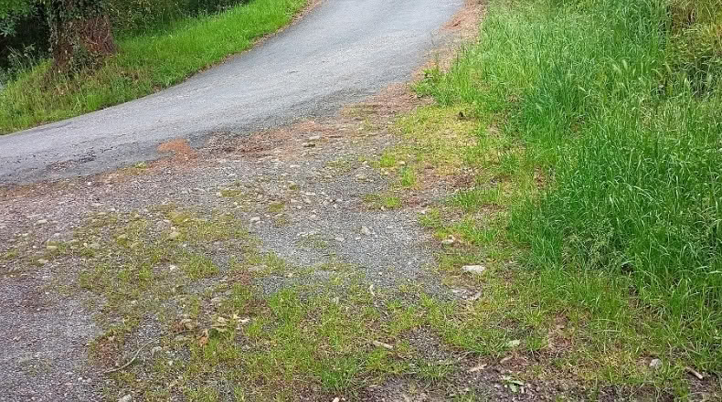 Orense - A Peroxa - 4548m2