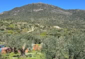 Parcela urbanizable en venta en la Camino del Cancho, Hinojosa de San Vicente, ref: TR412694 foto