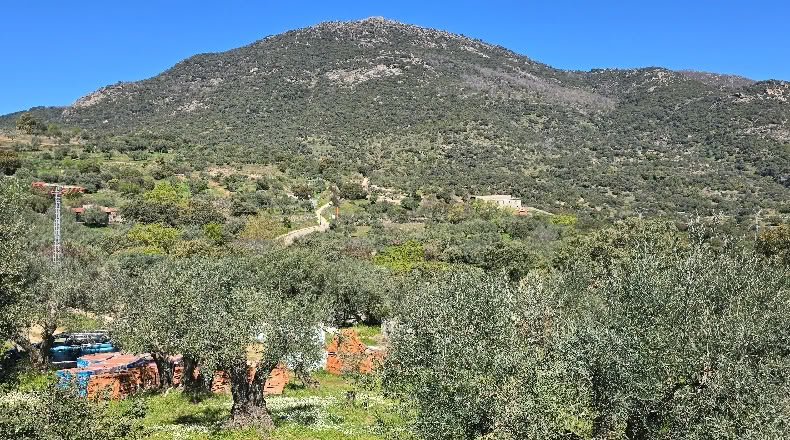 Toledo - Hinojosa de San Vicente - 1300m2