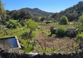 Parcela urbanizable en venta en la Camino del Cancho, Hinojosa de San Vicente, ref: TR412694 foto