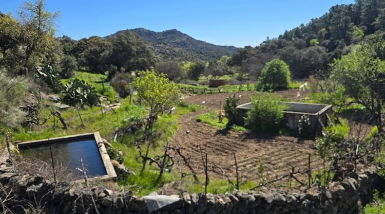 Toledo - Hinojosa de San Vicente - 1300m2