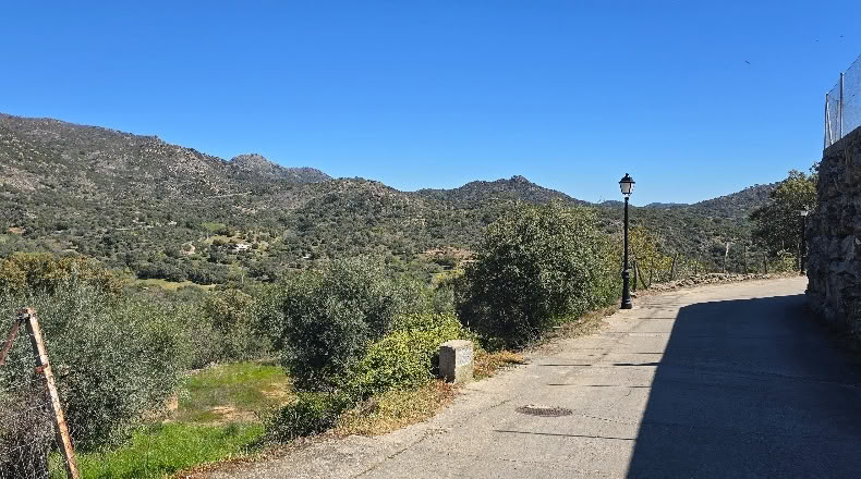 Toledo - Hinojosa de San Vicente - 1300m2