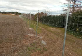 Tudela de Duero 6650&nbsp;м²