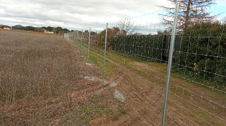 Valladolid - Tudela de Duero - 6650m2