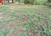 Sòl urbà en venda a la España, Tordera, ref.: TR412692 foto