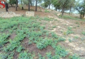 Sòl urbà en venda a la España, Tordera, ref.: TR412692 foto