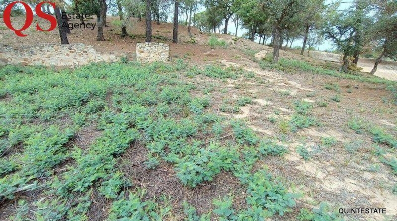 Barcelona - Tordera - 807m2