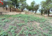 Sòl urbà en venda a la España, Tordera, ref.: TR412692 foto