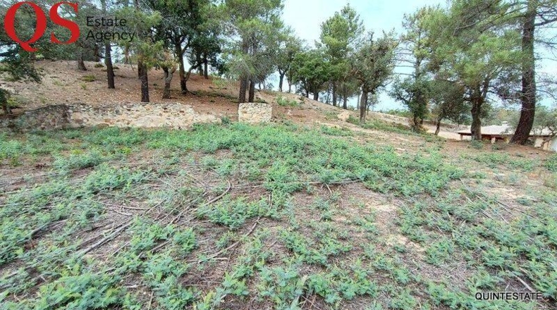 Barcelona - Tordera - 807m2