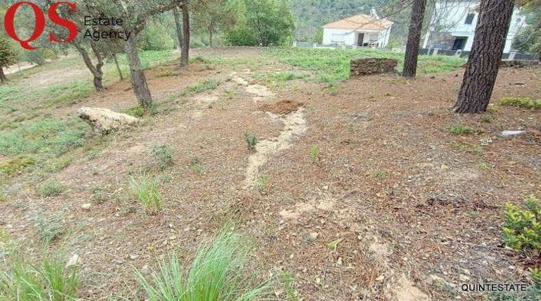 Barcelona - Tordera - 807m2