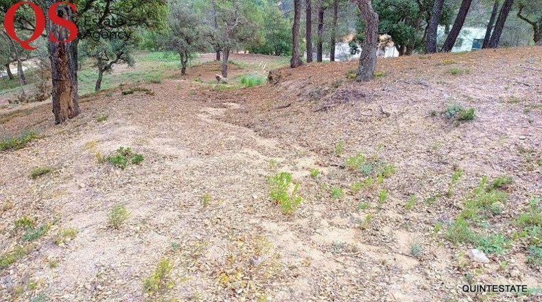 Barcelona - Tordera - 807m2