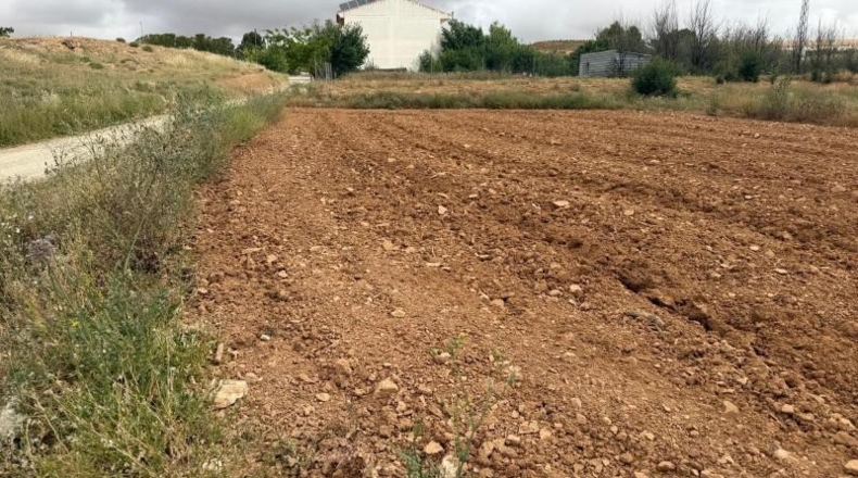 Albacete - Fuentealbilla - 745m2