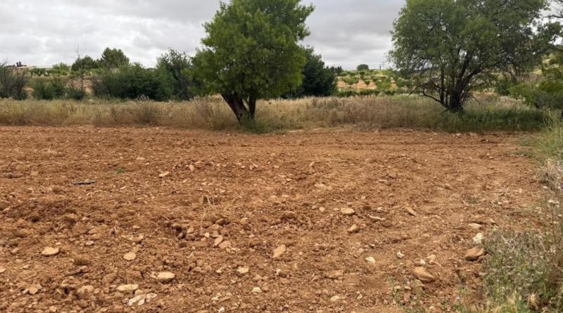 Albacete - Fuentealbilla - 745m2
