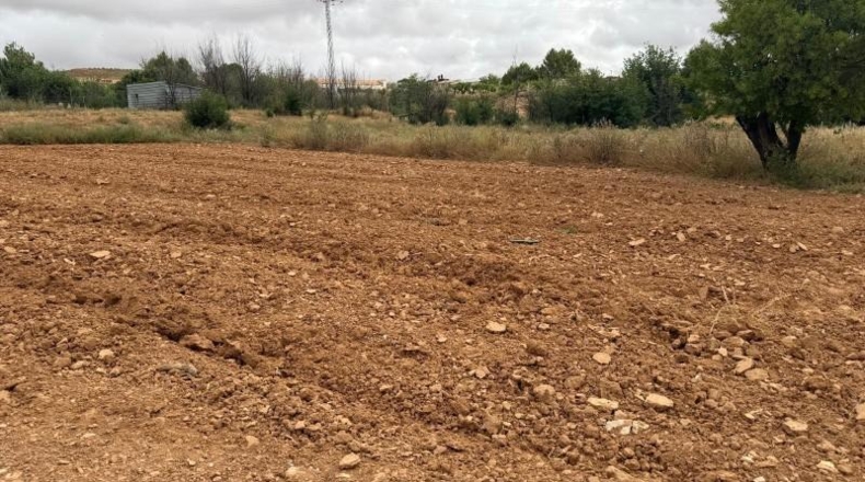 Albacete - Fuentealbilla - 745m2