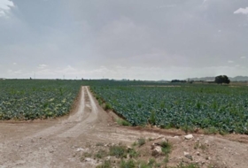 Fuente Álamo 68960&nbsp;m²