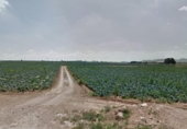 Terreno no urbanizable en venta en la España, Fuente Álamo, ref: TR387857 foto